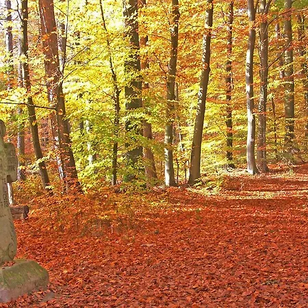 Appartamento Ferienwohnung Zum Hornauer See Gerolzhofen